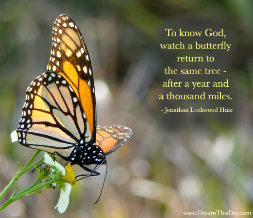 quotes and sayings about god. Watch Quotes and Sayings Quotes about Watch. To know God, watch a butterfly 
